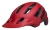 bel-7138755_b.webp