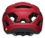 bel-7138755_c.webp