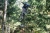 o2ggqol8o62rj3thhavv.webp